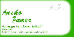 aniko pamer business card